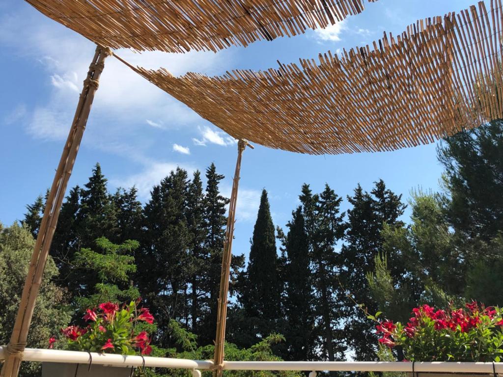 Le Nid Des Corbieres Bed & Breakfast Bizanet Bagian luar foto