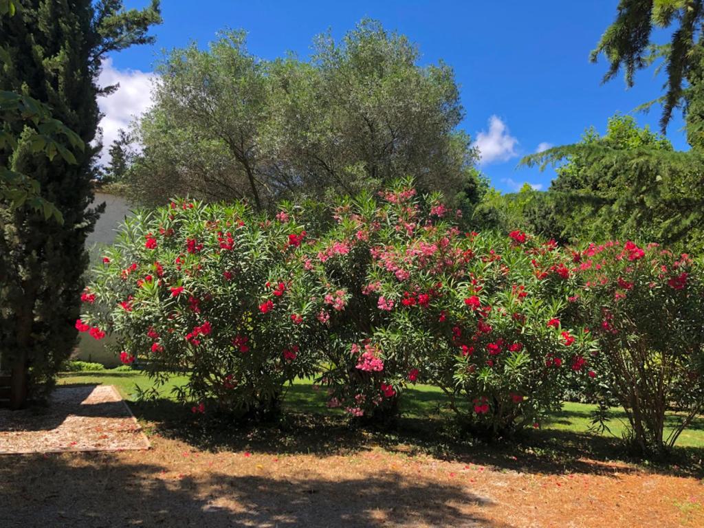 Le Nid Des Corbieres Bed & Breakfast Bizanet Bagian luar foto