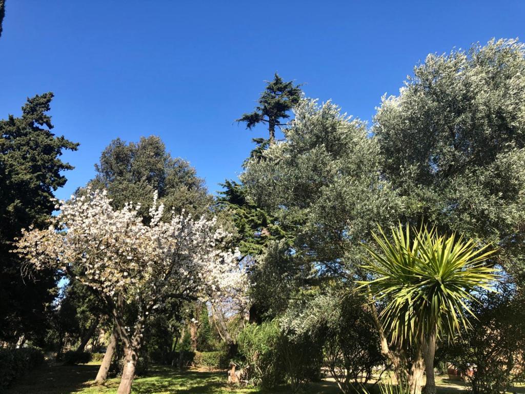 Le Nid Des Corbieres Bed & Breakfast Bizanet Bagian luar foto